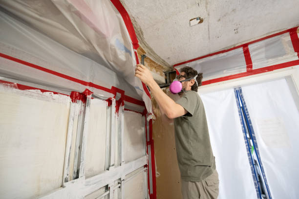 Best Residential Mold Inspection & Testing  in Mineral Ridge, OH