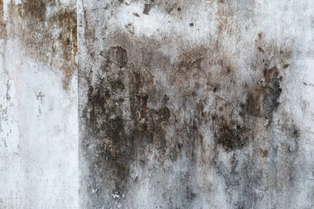 Best Indoor Air Quality Assessment  in Mineral Ridge, OH