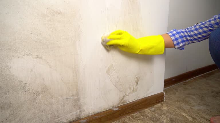 Best Biohazard Mold Removal  in Mineral Ridge, OH