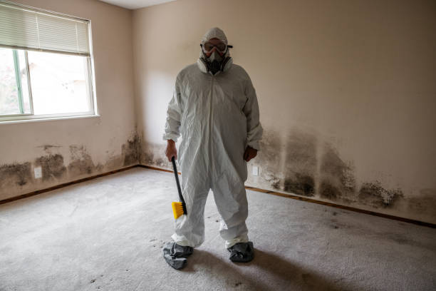 Best Asbestos and Lead Testing During Mold Inspection  in Mineral Ridge, OH